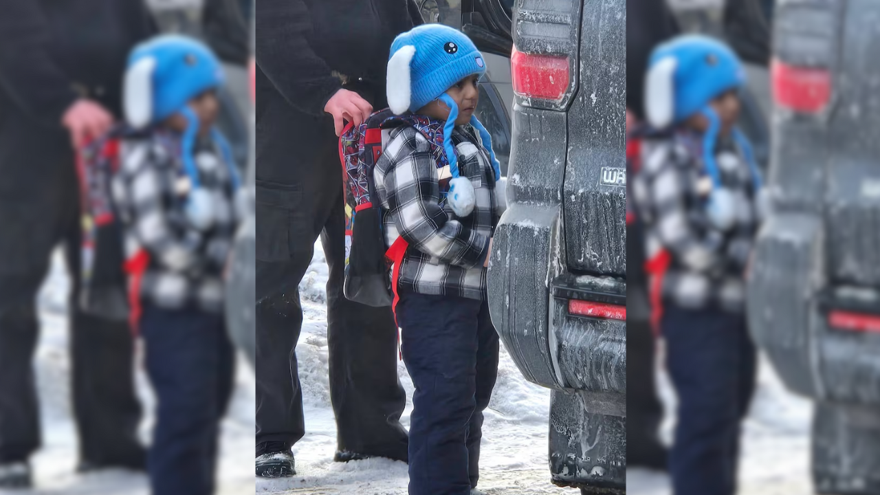 The Art of Baking: From Classic Bread to Artisan Pastries