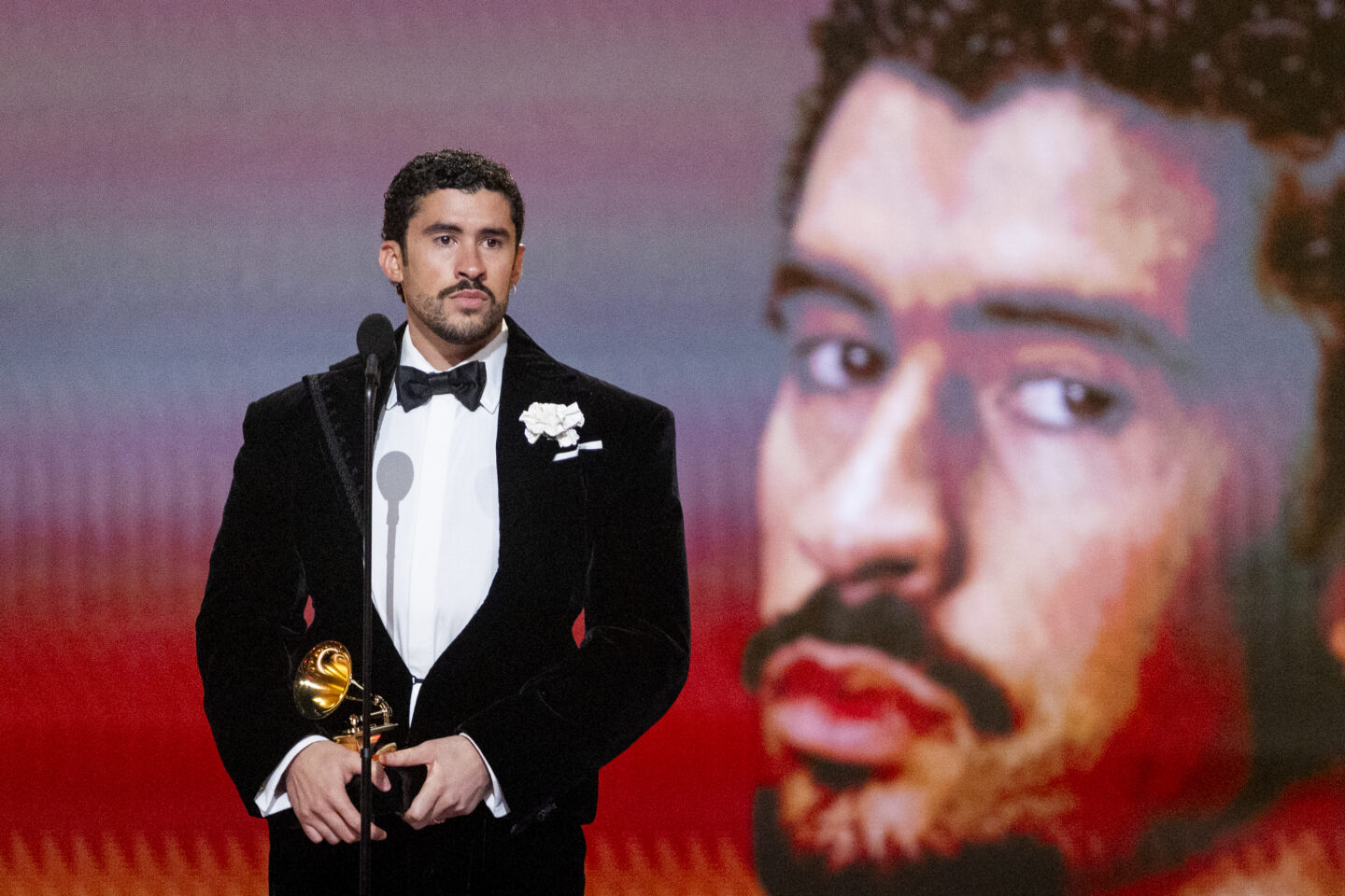 who is Bad Bunny?, Bad Bunny, Bad Bunny Super Bowl, Bad Bunny Super Bowl halftime show thegRIO.COM