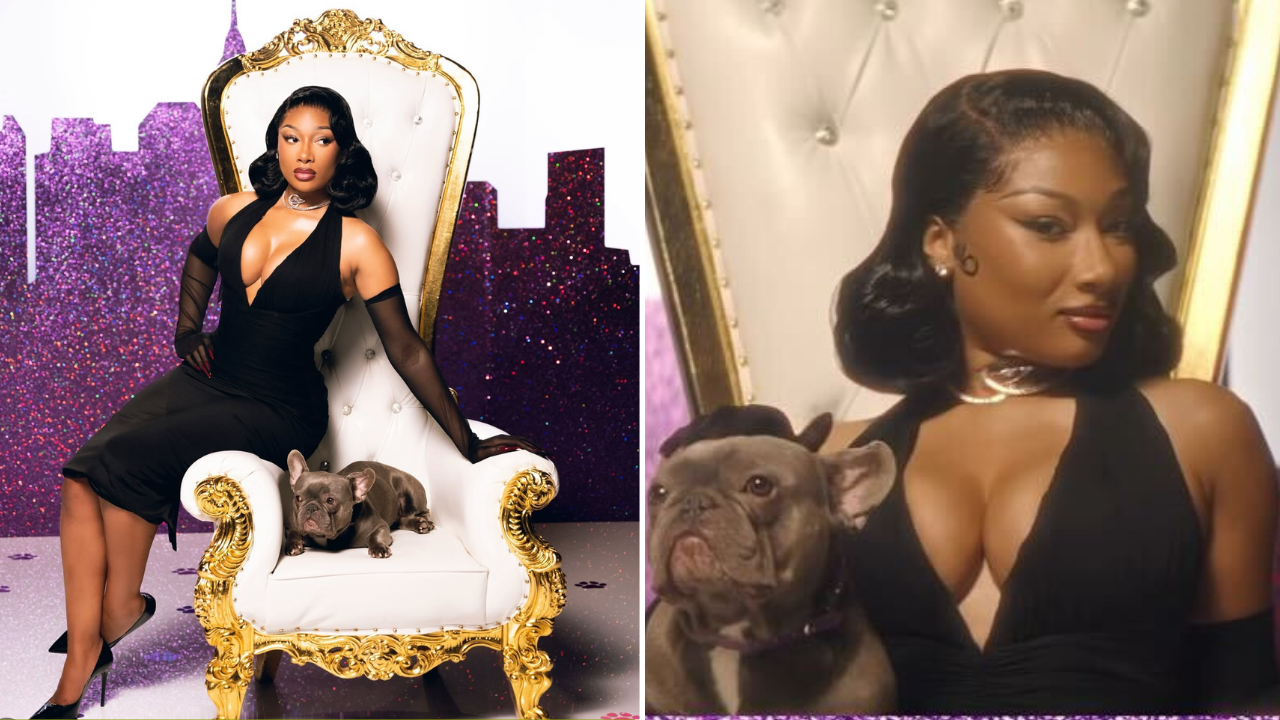 Megan Thee Stallion partners with the Westminster Dog Show