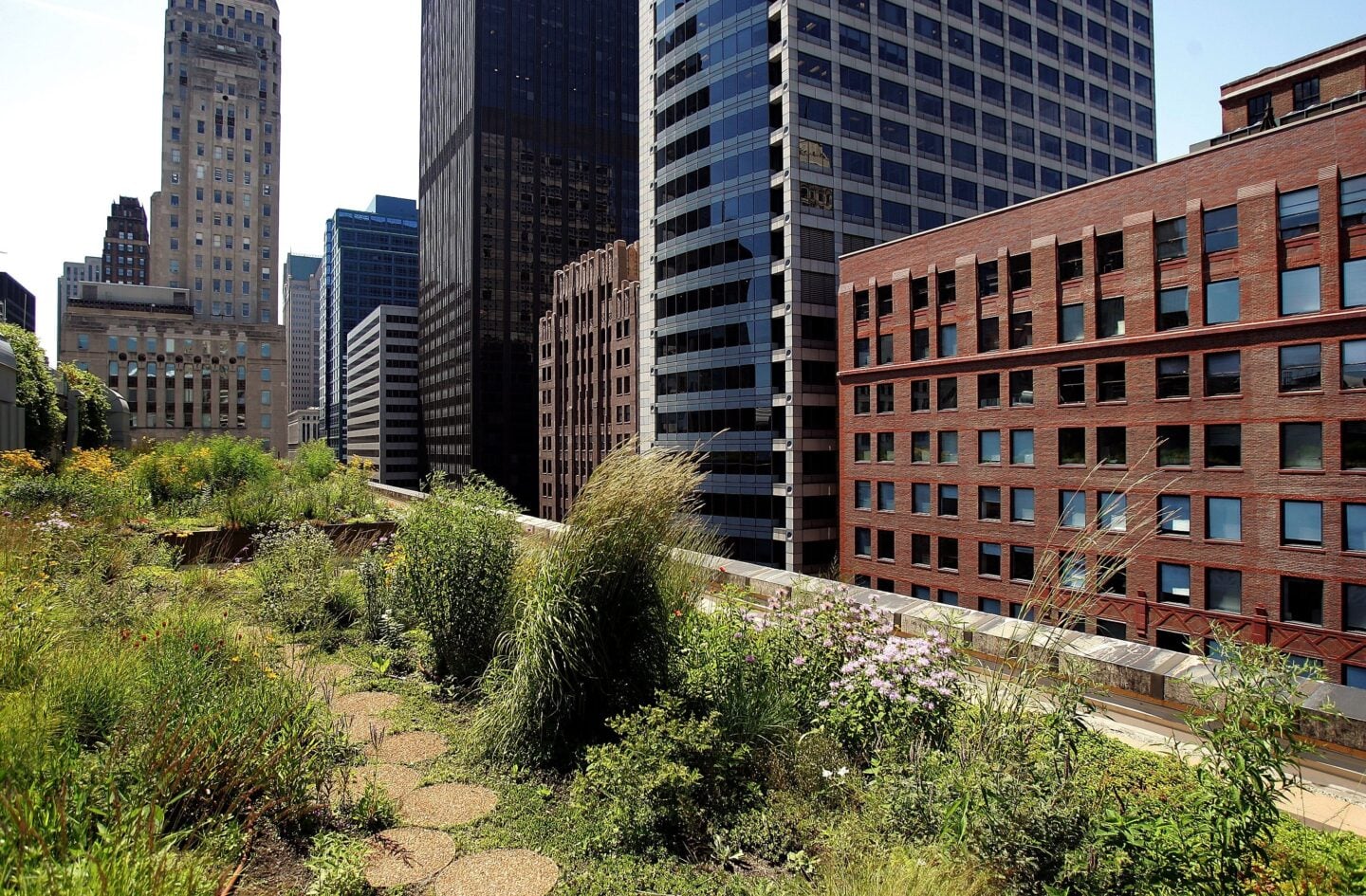 Green Rooftop Graces Chicago